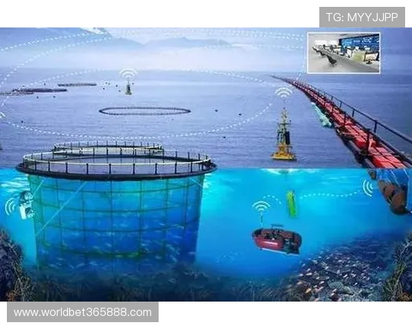 365备用网址线路未来发展趋势,行业专家预测新技术与创新应用前景